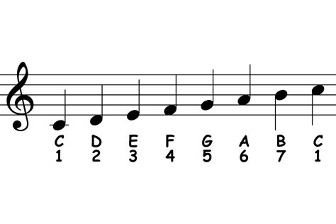 how many notes are there in a musical scale: Exploring the Complexities and Variations of Musical Scales Across Cultures